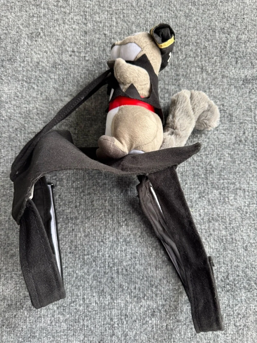 N/A squirrel pirate